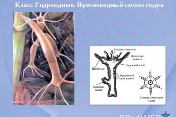 Регистрация на сайте кракен